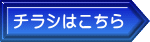 `V͂ 